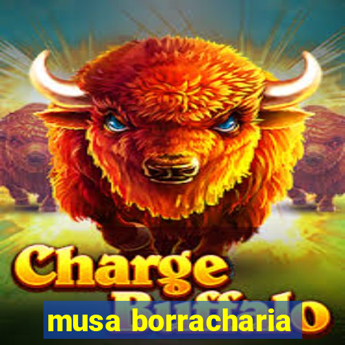 musa borracharia